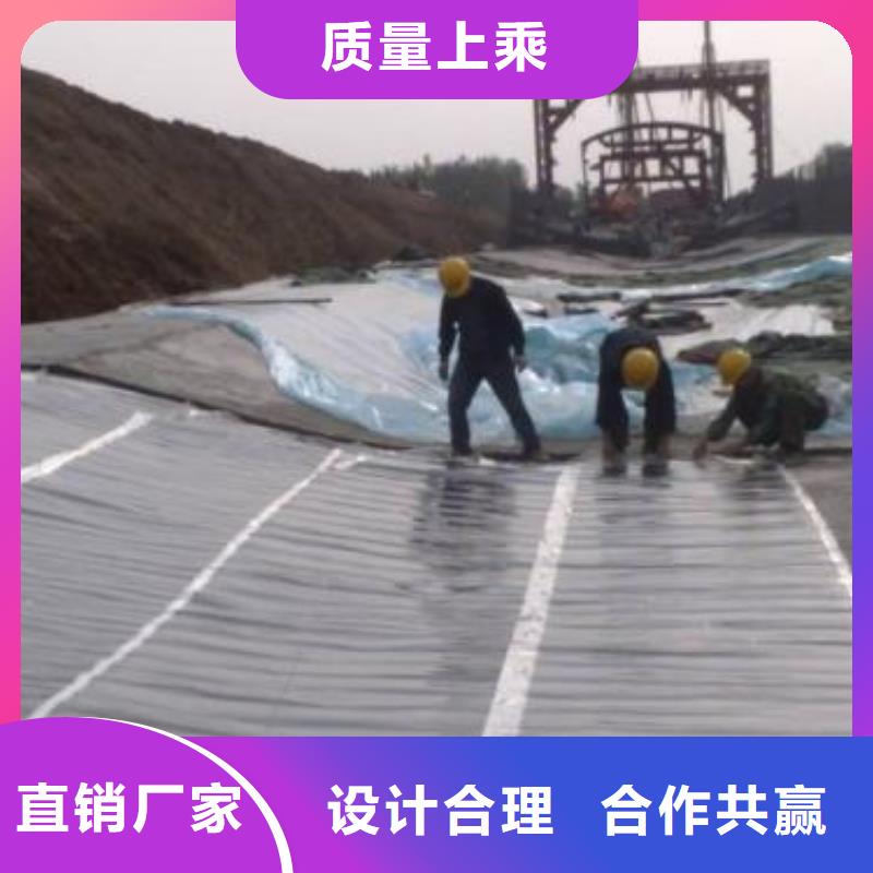 土工膜【单向塑料土工格栅】厂家定制用心经营