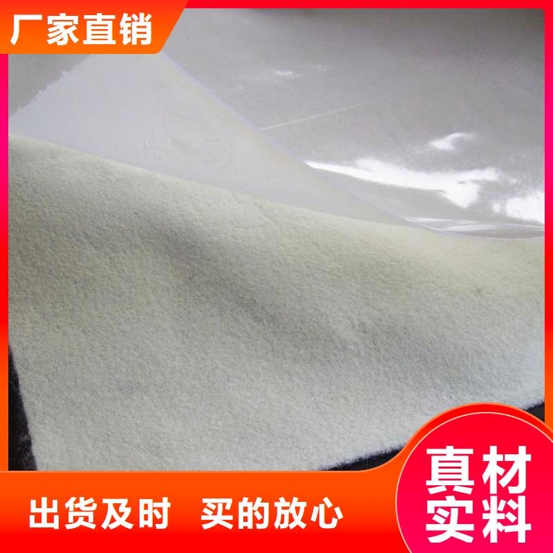 【土工膜】,水土保护毯一手货源同城经销商