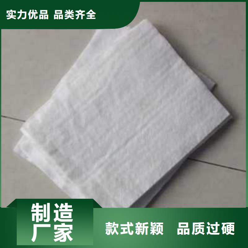 土工布钢塑土工格栅专注产品质量与服务本地厂家