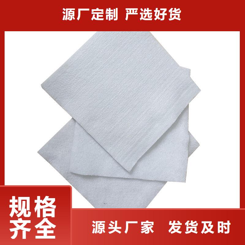 【土工布钢塑土工格栅专注细节使用放心】实体厂家