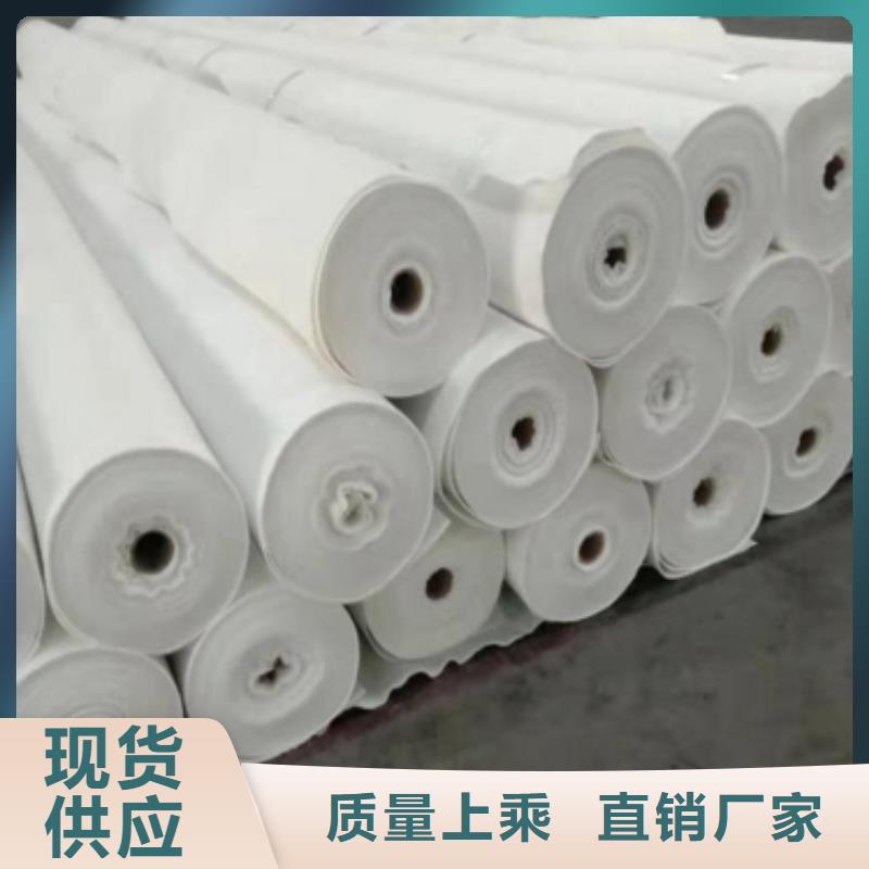 土工布单向塑料土工格栅每一处都是匠心制作按需定制真材实料