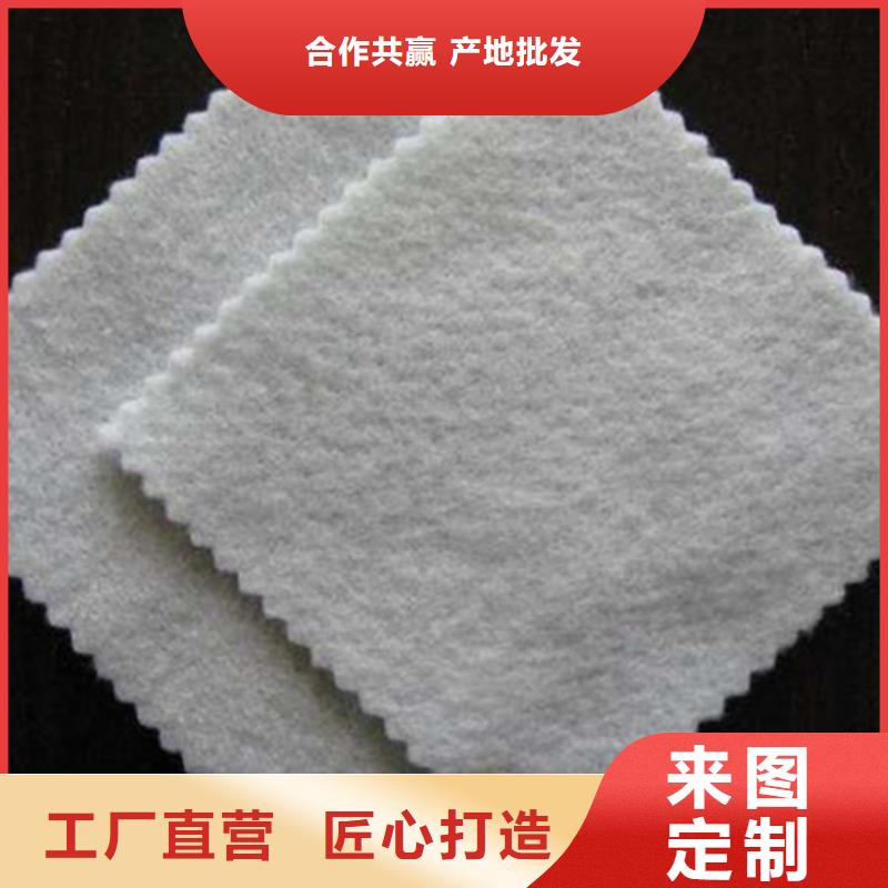 土工布,玻纤土工格栅支持定制价格实在