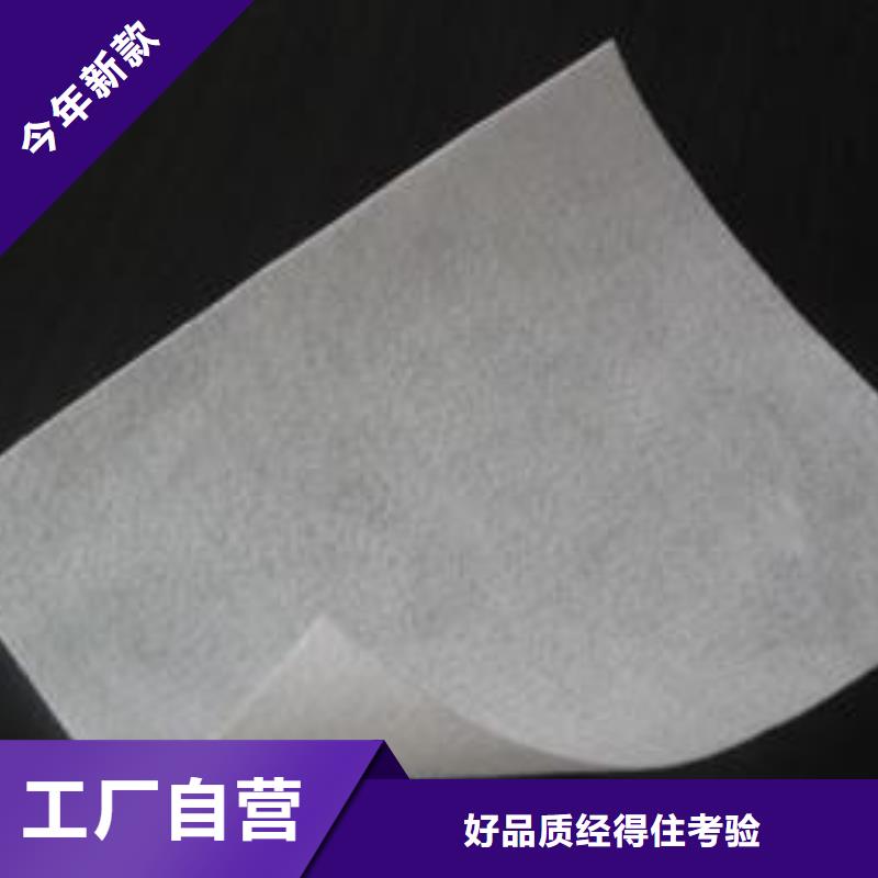 土工布玻纤格栅大厂家实力看得见按需定做