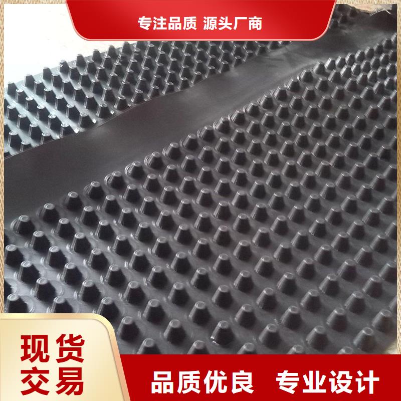 蓄排水板三维复合排水网精挑细选好货质量优价格低