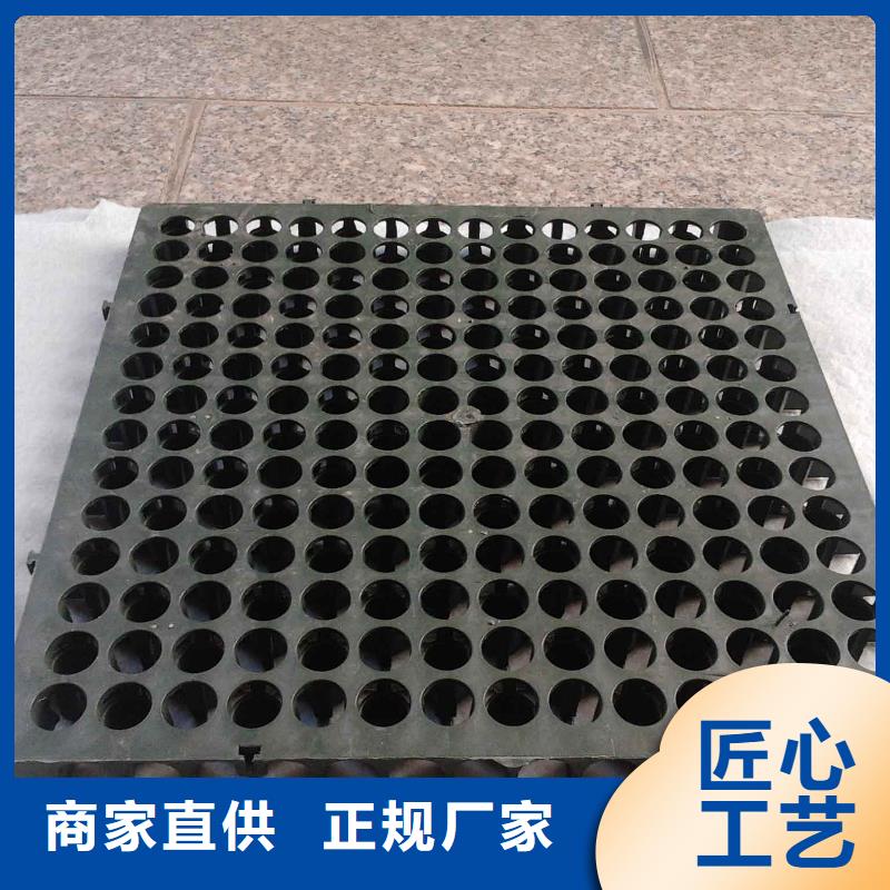 【蓄排水板】三维土工网垫好产品好服务定制批发