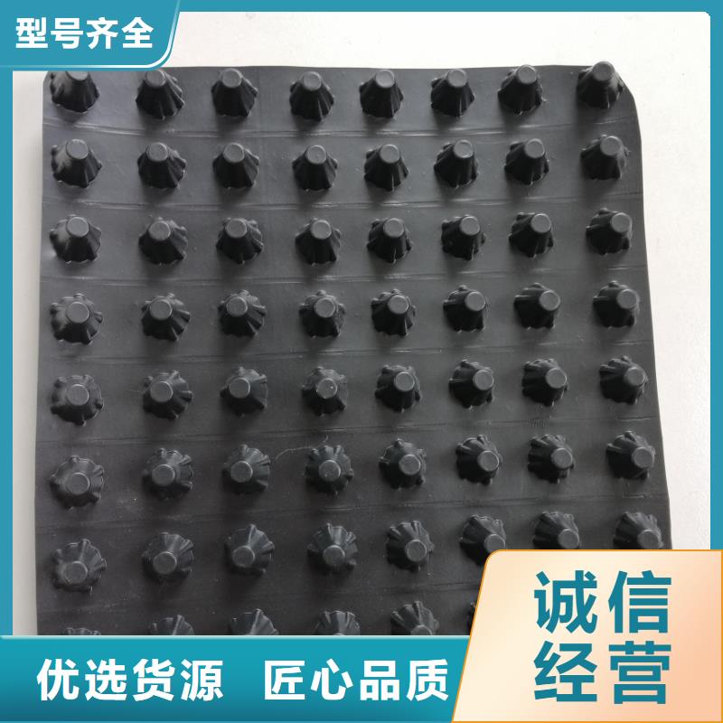 【蓄排水板】双向塑料土工格栅自产自销本地公司