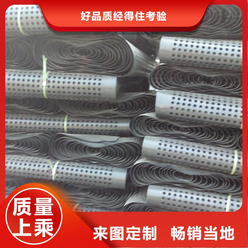 【蓄排水板三维复合排水网严格把关质量放心】厂家品控严格