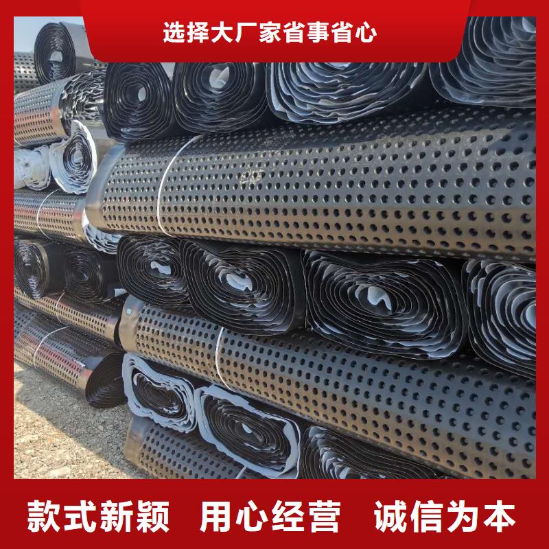 【蓄排水板单向塑料土工格栅物流配货上门】厂家直接面向客户