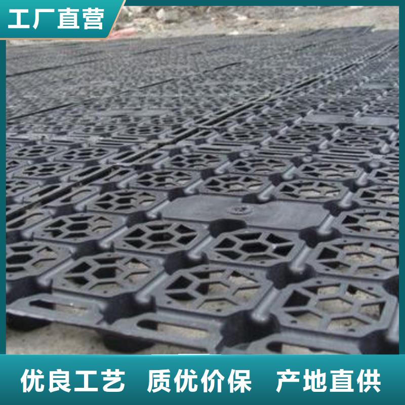 蓄排水板_钢塑土工格栅自营品质有保障品质保证实力见证