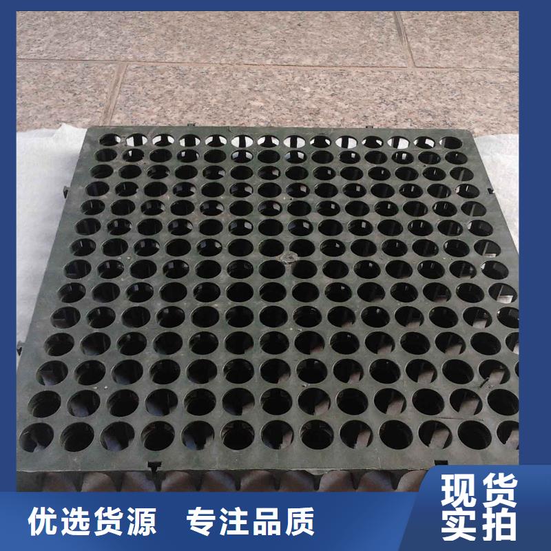 【蓄排水板】-钢塑土工格栅定制零售批发多年经验值得信赖