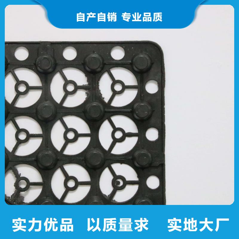 蓄排水板【玻纤格栅】专业生产N年用心细节