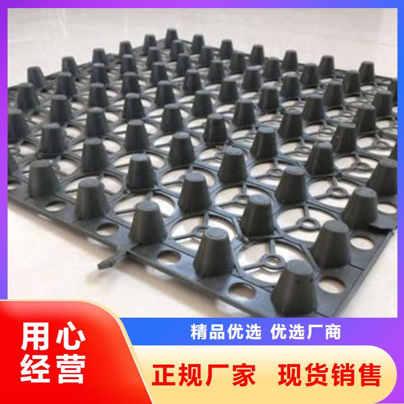 【蓄排水板钢塑土工格栅供应采购】产品优良