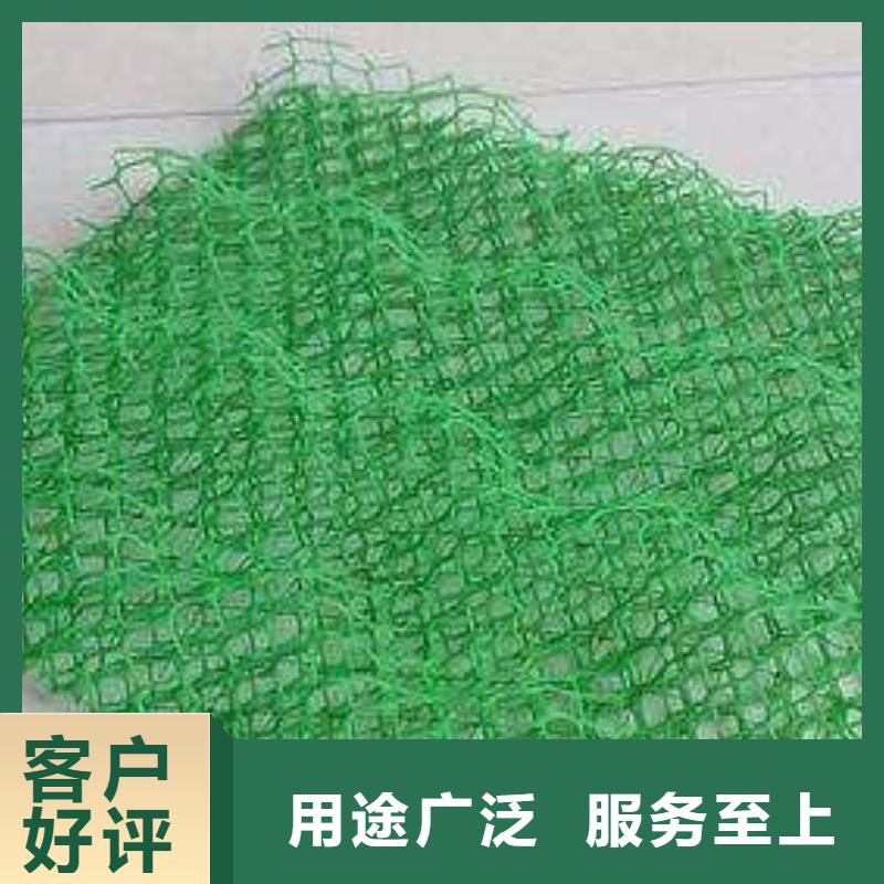 三维植被网-【长丝土工布】品质有保障本地供应商