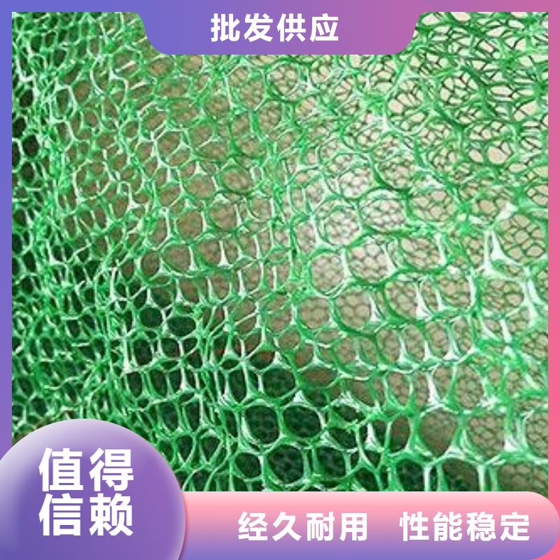 【三维植被网凸结点钢塑土工格栅生产厂家】当地生产商