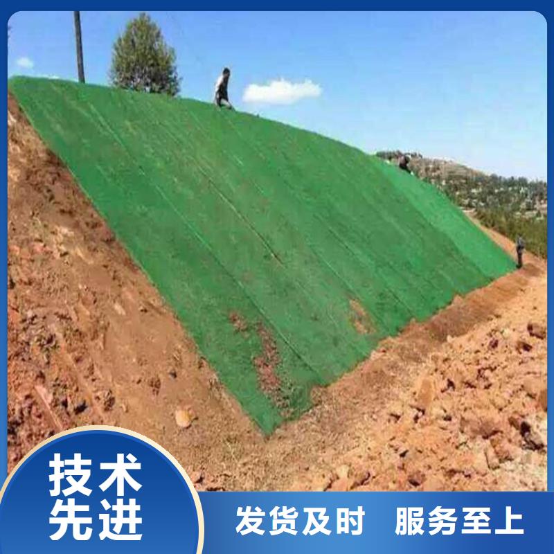 三维植被网塑料盲沟现货直供用心制造