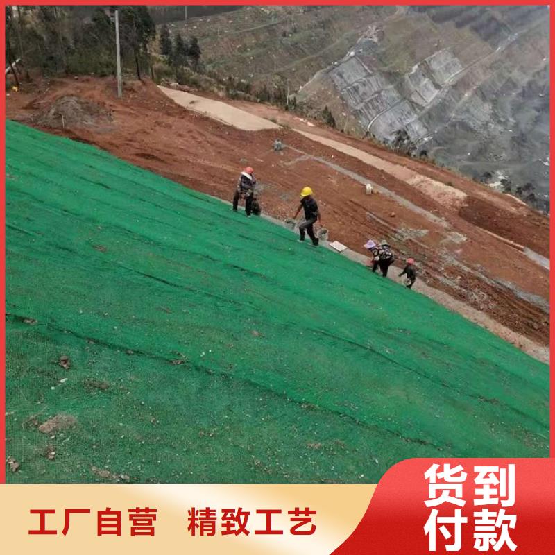 【三维植被网-三维复合排水网好厂家有担当】设计合理