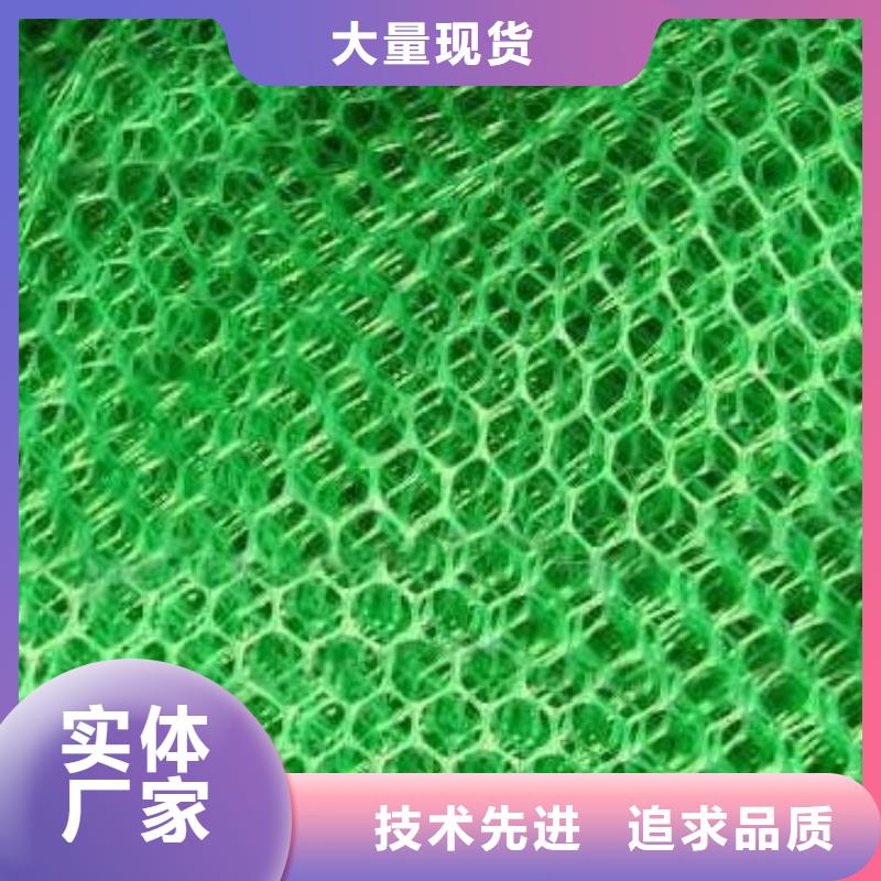 三维植被网_玻纤格栅规格齐全实力厂家同城厂家