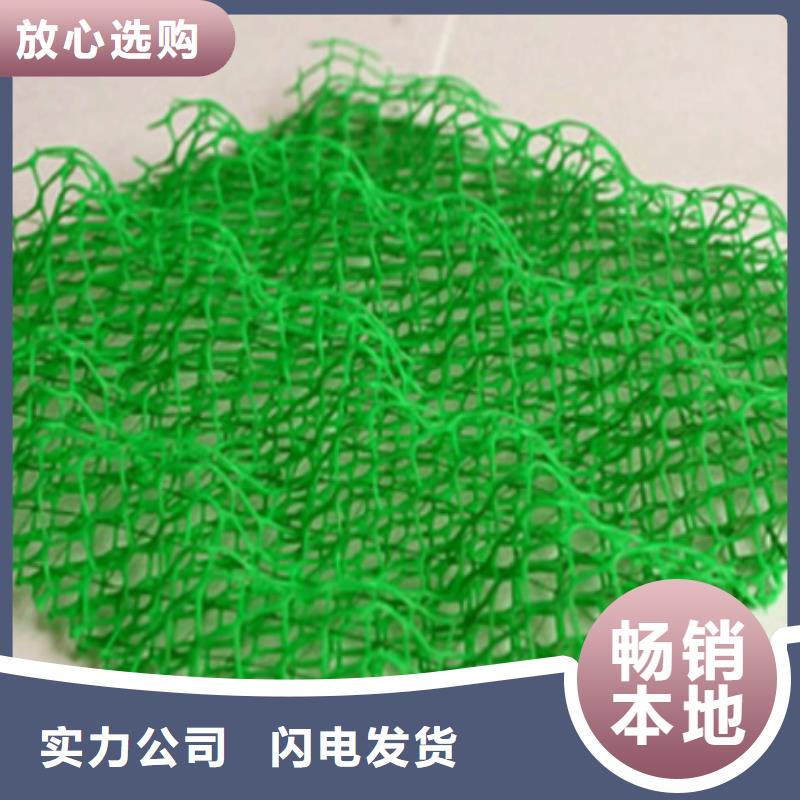 三维植被网水土保护毯的图文介绍生产加工