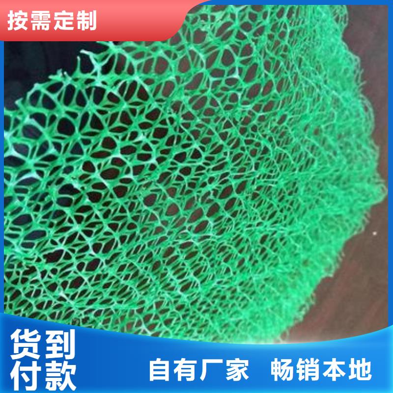 三维植被网三维复合排水网资质认证一个起售