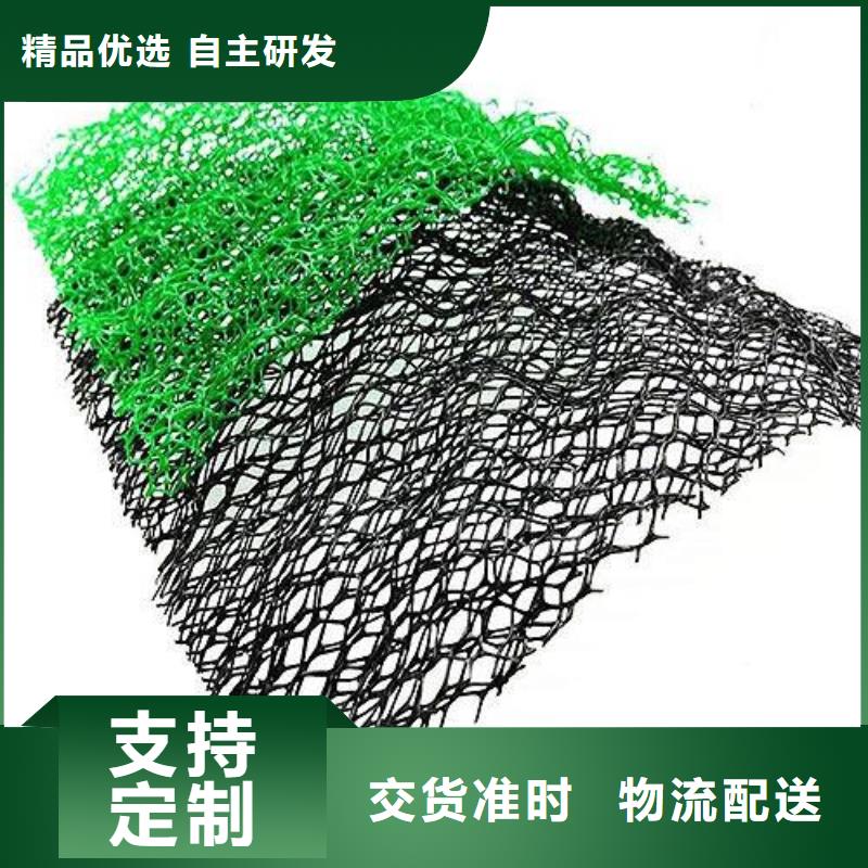 【三维植被网】涤纶土工格栅经验丰富质量放心同城公司