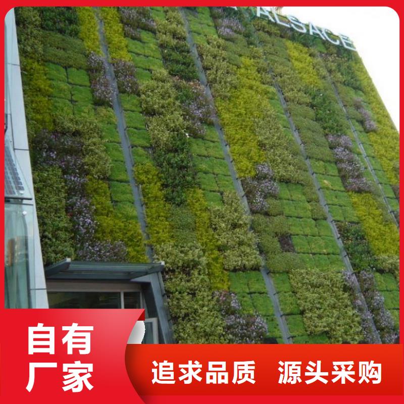 三维植被网-【土工格室】可接急单常年出售