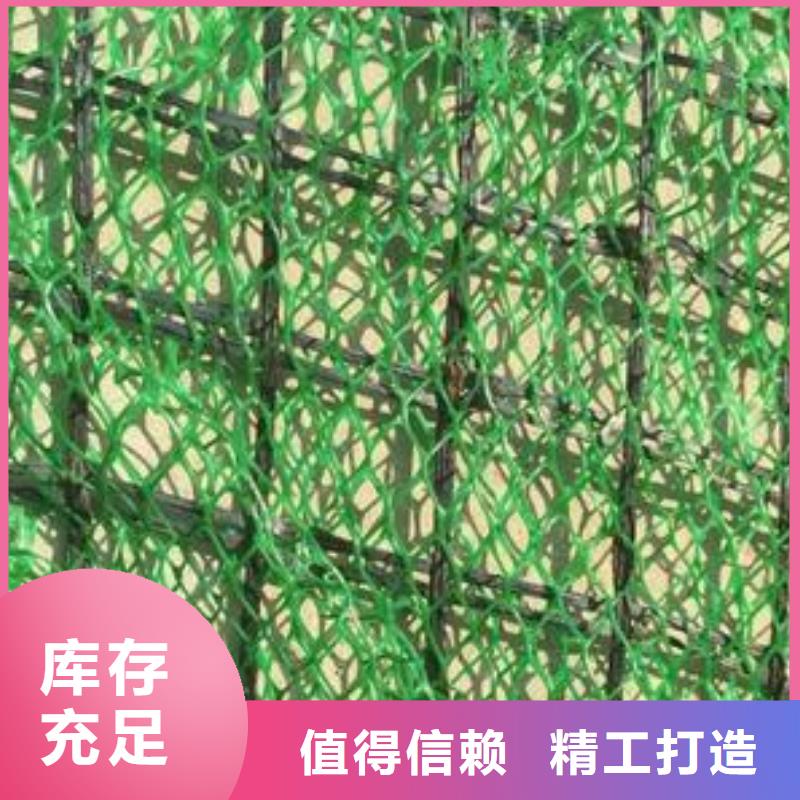 三维植被网PP焊接土工格栅快速报价严格把关质量放心