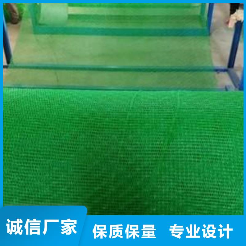 三维植被网土工席垫实力工厂同城生产商