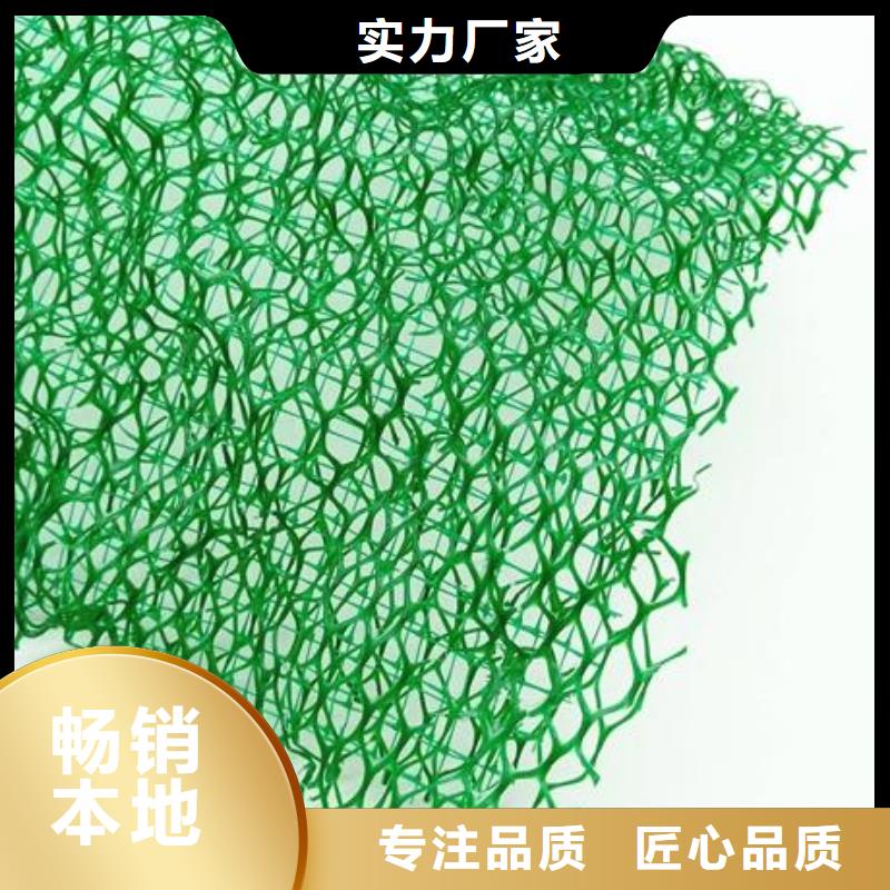 三维植被网渗排水片材批发价格一站式采购