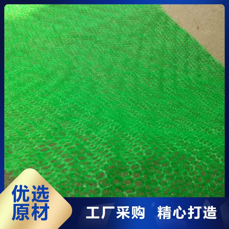 三维植被网土工格室满足多种行业需求支持非标定制