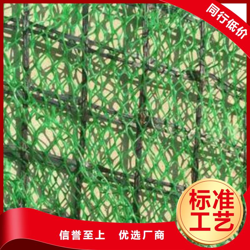 三维植被网水土保护毯实力才是硬道理专业厂家