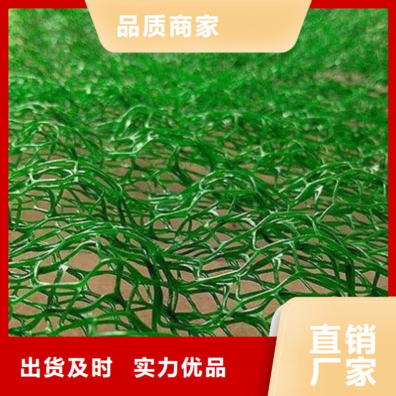 【三维植被网】涤纶土工格栅直销厂家同城货源