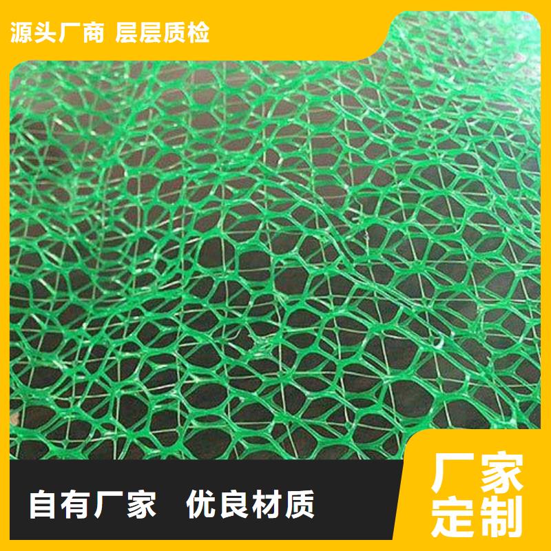 【三维植被网三维复合排水网直销厂家】海量货源