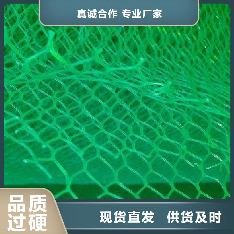 三维植被网护坡土工网用途广泛精选货源
