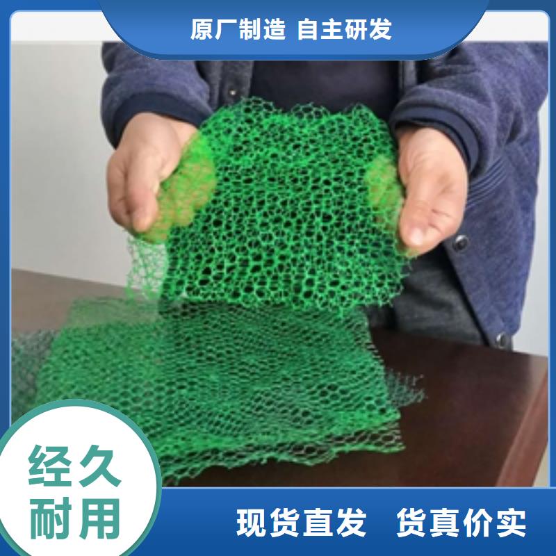 三维植被网涤纶土工格栅厂家经验丰富工艺层层把关