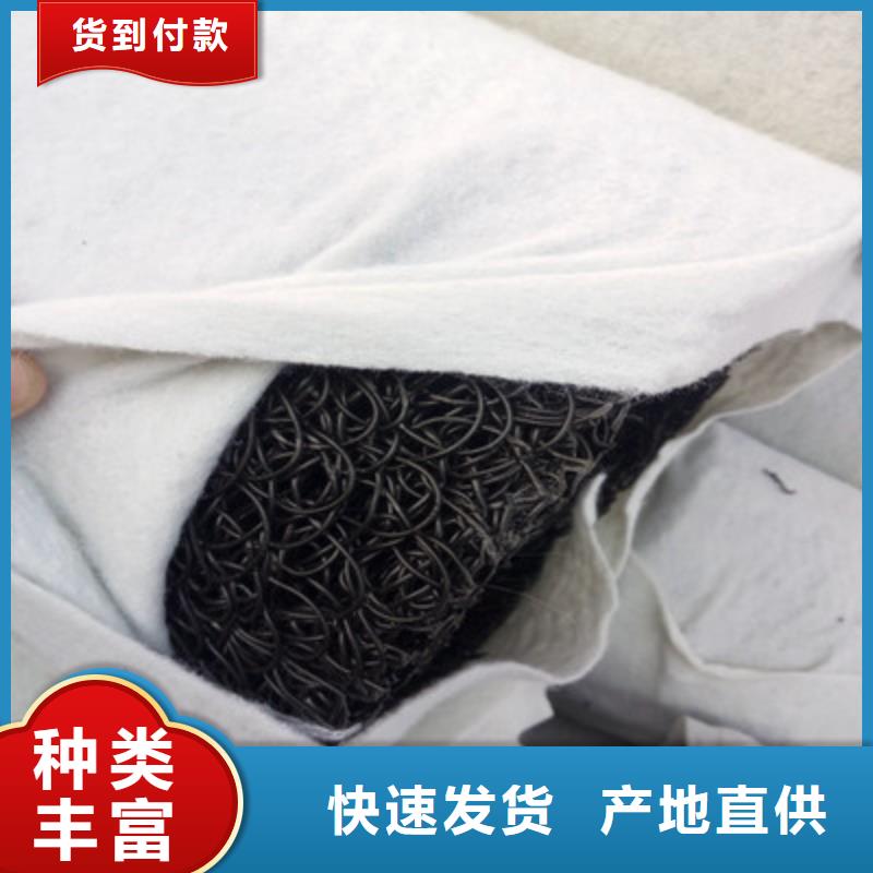 【塑料盲沟】单向塑料土工格栅专注生产制造多年精品选购