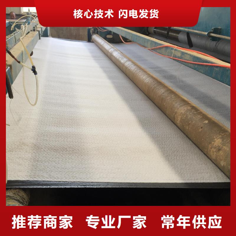 膨润土防水毯软式透水管源头厂家经验丰富当地公司