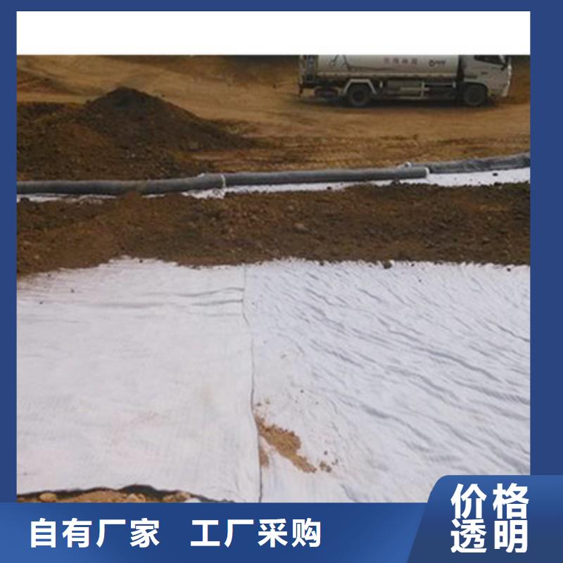 膨润土防水毯单向塑料土工格栅多年行业经验当地经销商