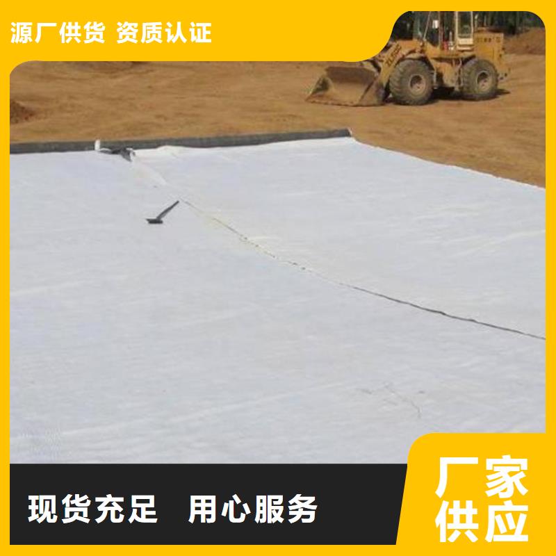 膨润土防水毯【土工格室】源头厂家供应本地公司