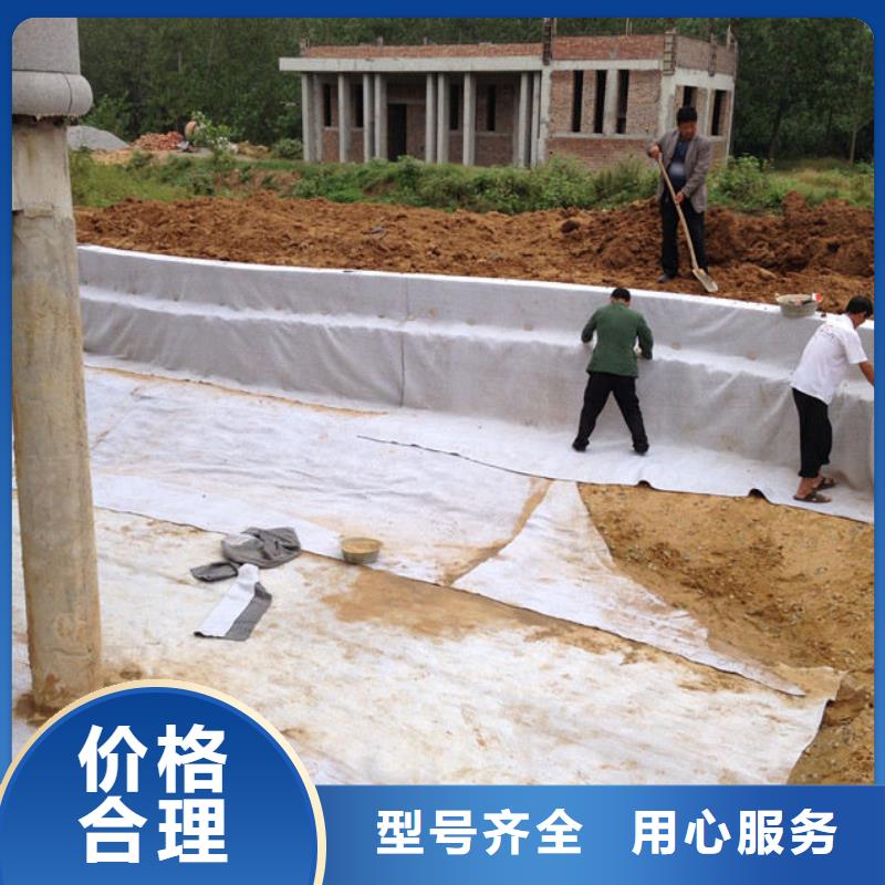 膨润土防水毯双向塑料土工格栅用心做好细节商家