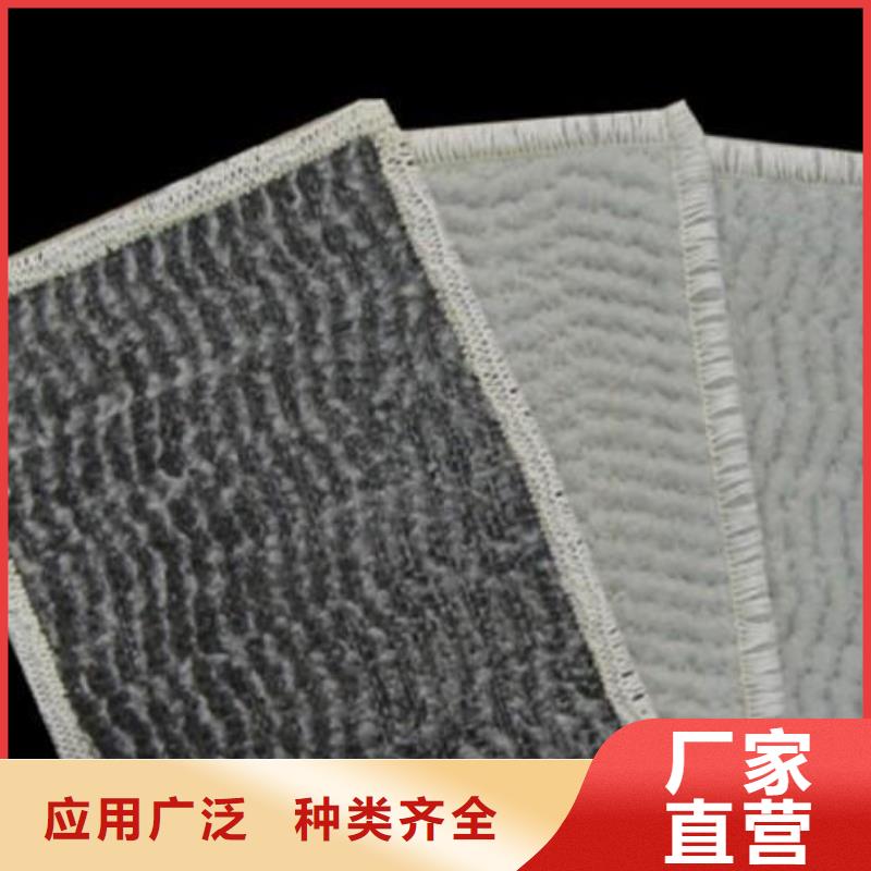 膨润土防水毯【PP焊接土工格栅】甄选好厂家厂家精选