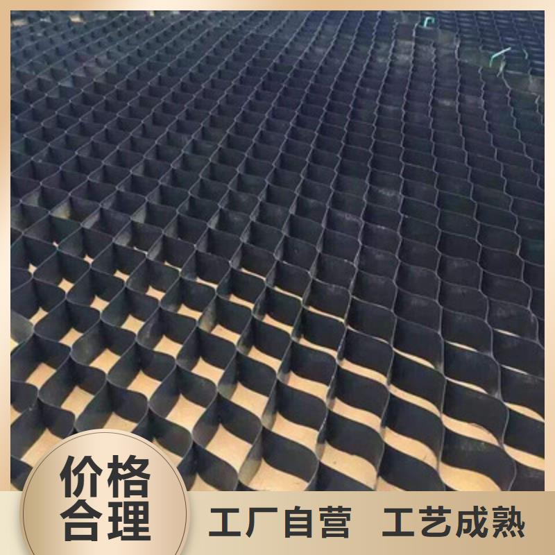 土工格室复合土工膜工期短发货快本地服务商