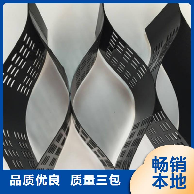 土工格室涤纶土工格栅产地直销当地服务商