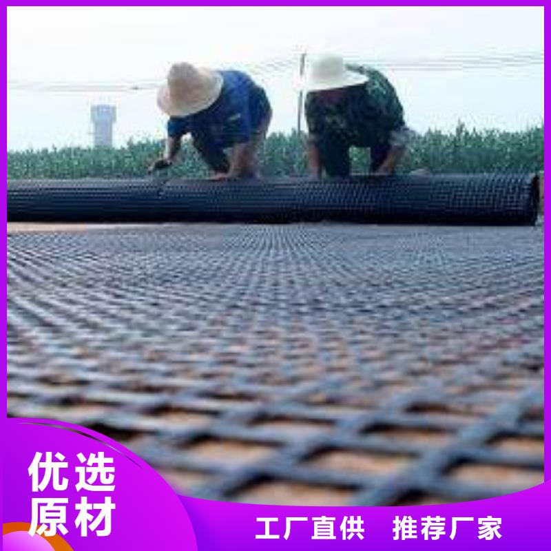 ​钢塑土工格栅三维植被网厂家海量现货直销支持加工定制