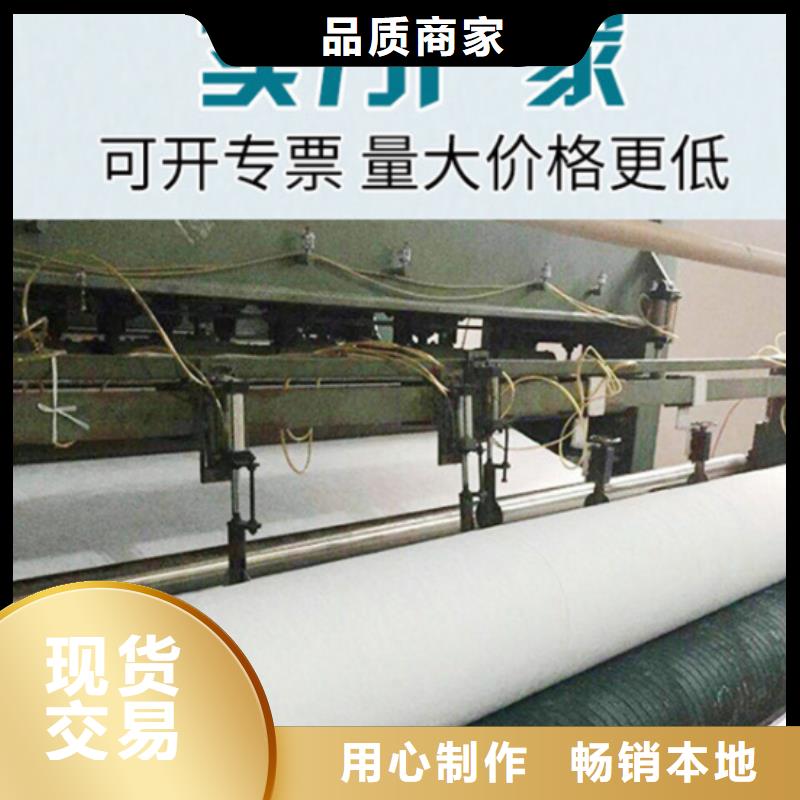 土工布涤纶土工格栅免费安装同城品牌