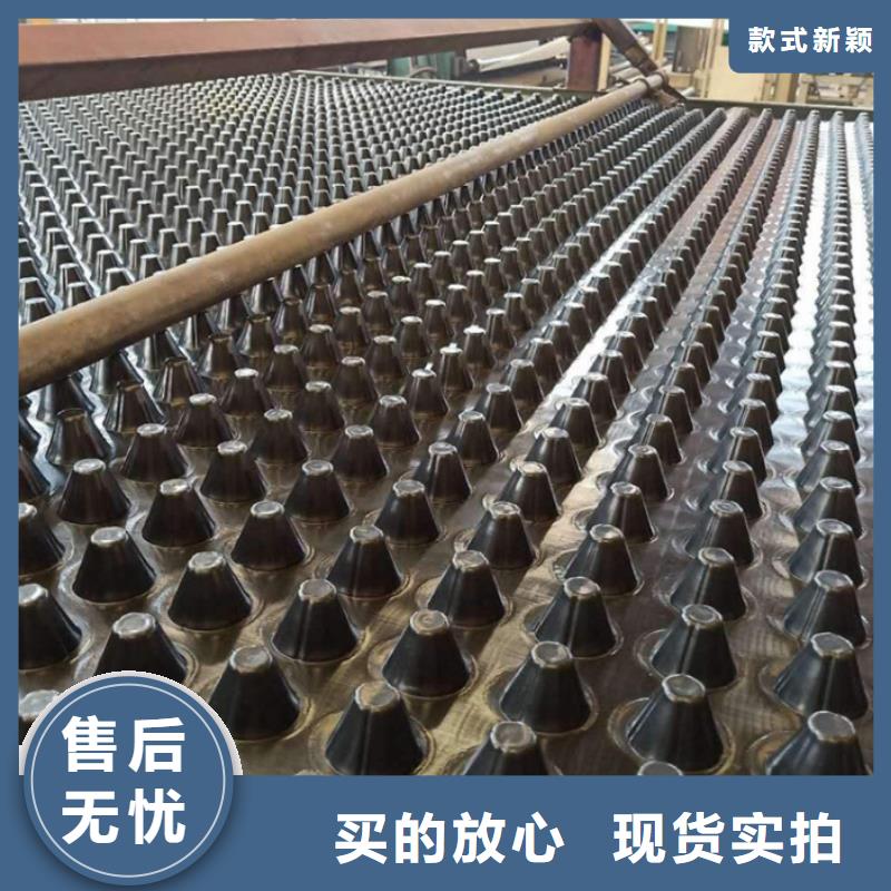 塑料排水板膨润土防水毯原厂制造优选厂商
