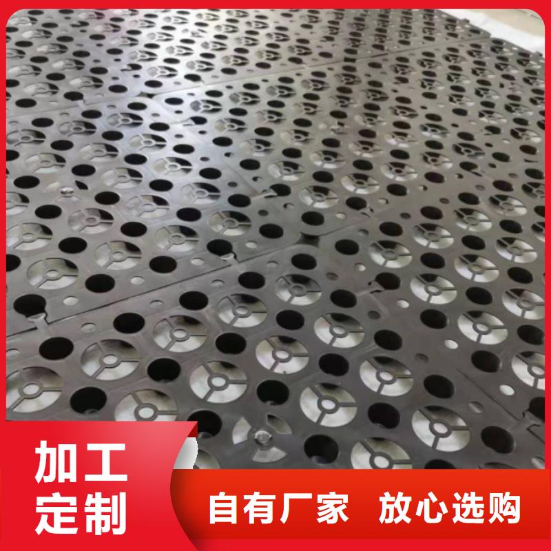 塑料排水板HDPE土工膜实力优品供您所需