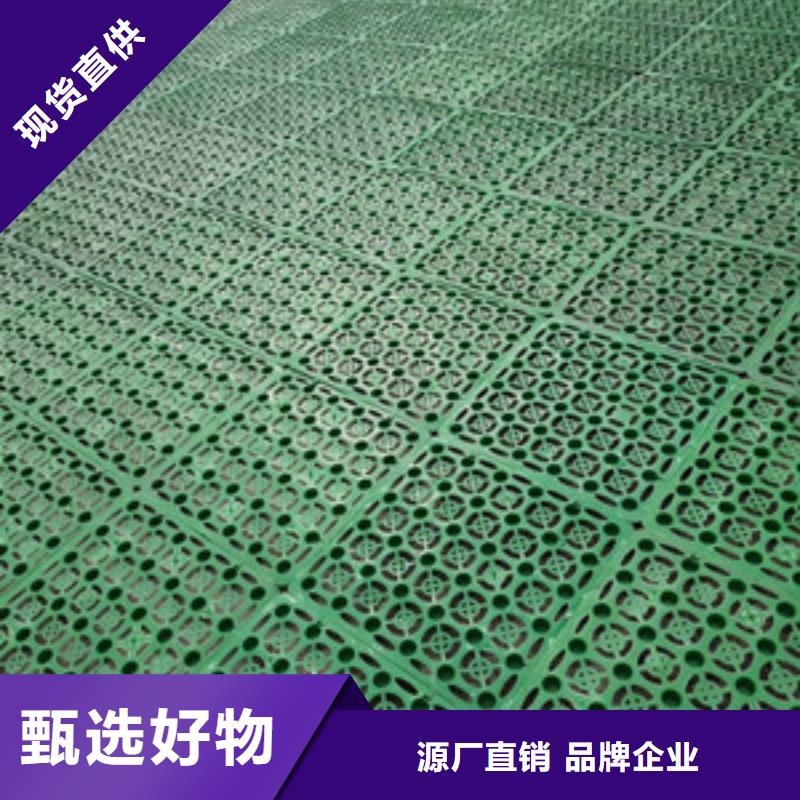【塑料排水板_长丝无纺土工布经验丰富质量放心】本地厂家