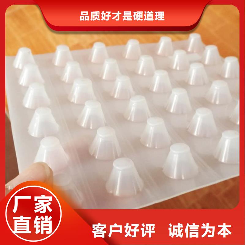 塑料排水板凸结点钢塑土工格栅精品选购厂家实力大