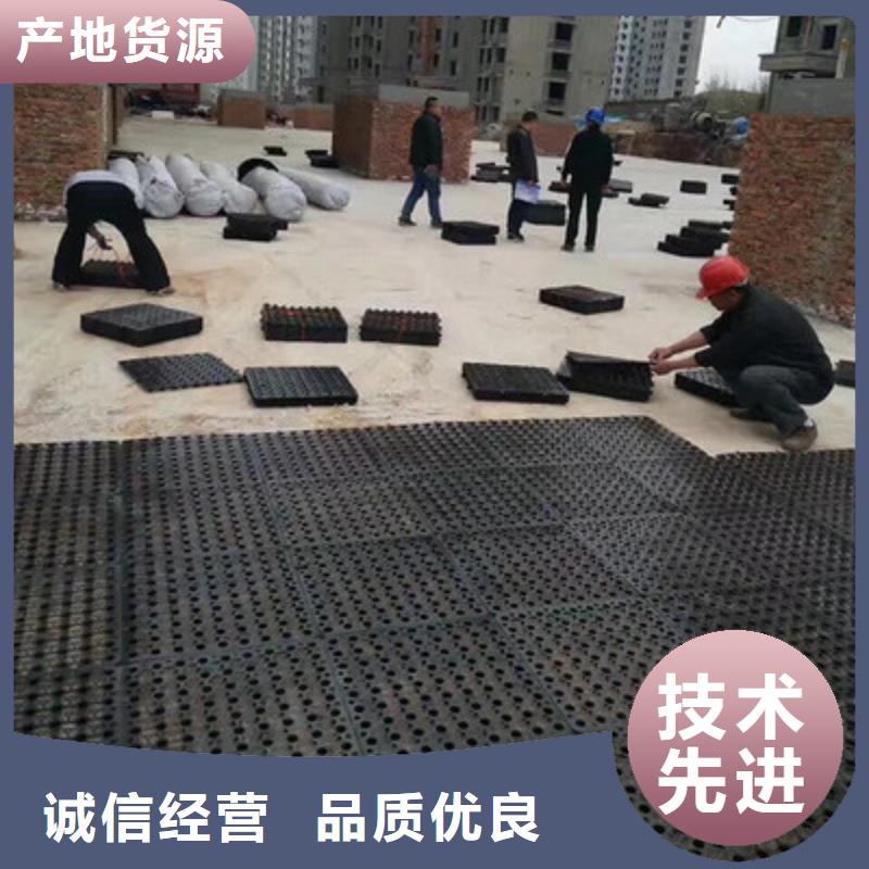 塑料排水板凸结点钢塑土工格栅一手价格好货直销