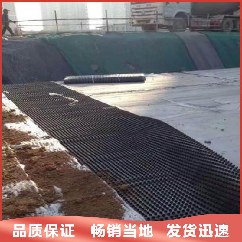 塑料排水板玻纤土工格栅厂家货源稳定研发生产销售